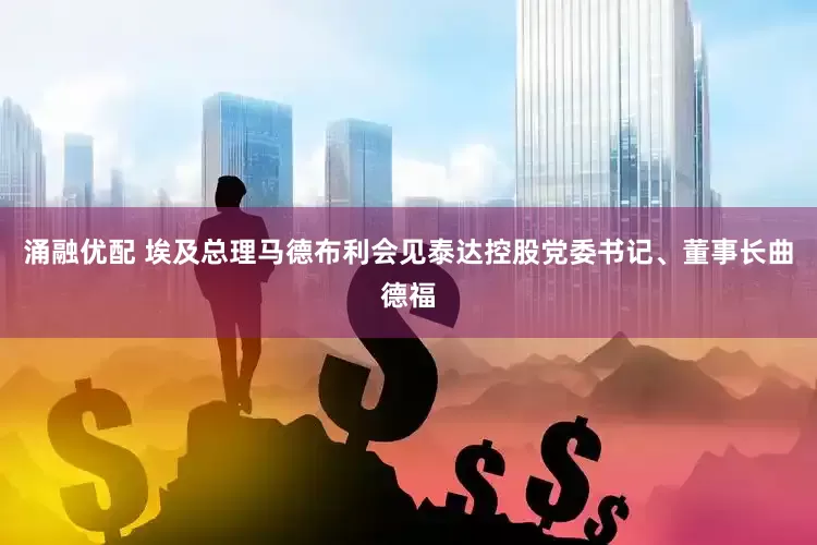 涌融优配 埃及总理马德布利会见泰达控股党委书记、董事长曲德福